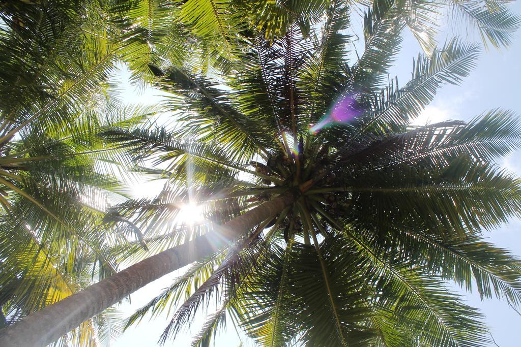 Huraa East Inn Eksteriør bilde